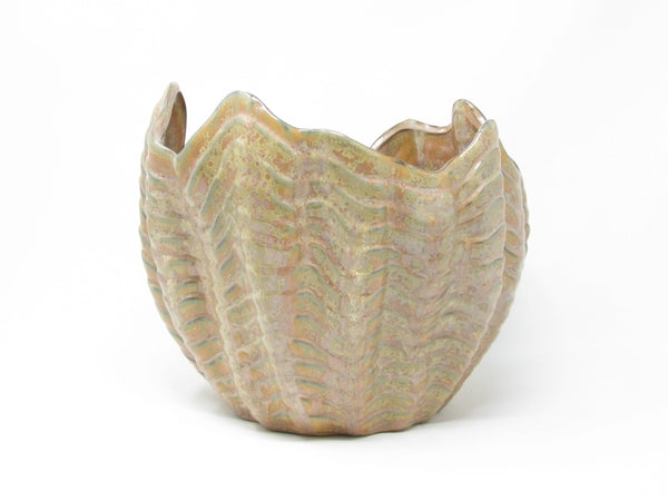 Contemporary Large Shell Shaped Ceramic Planter by Sanibel Home