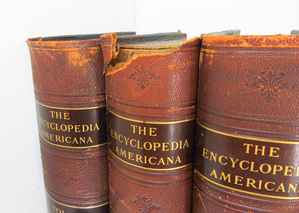edgebrookhouse - Antique 1903 Leather Bound Encyclopedia Americana - Complete Set